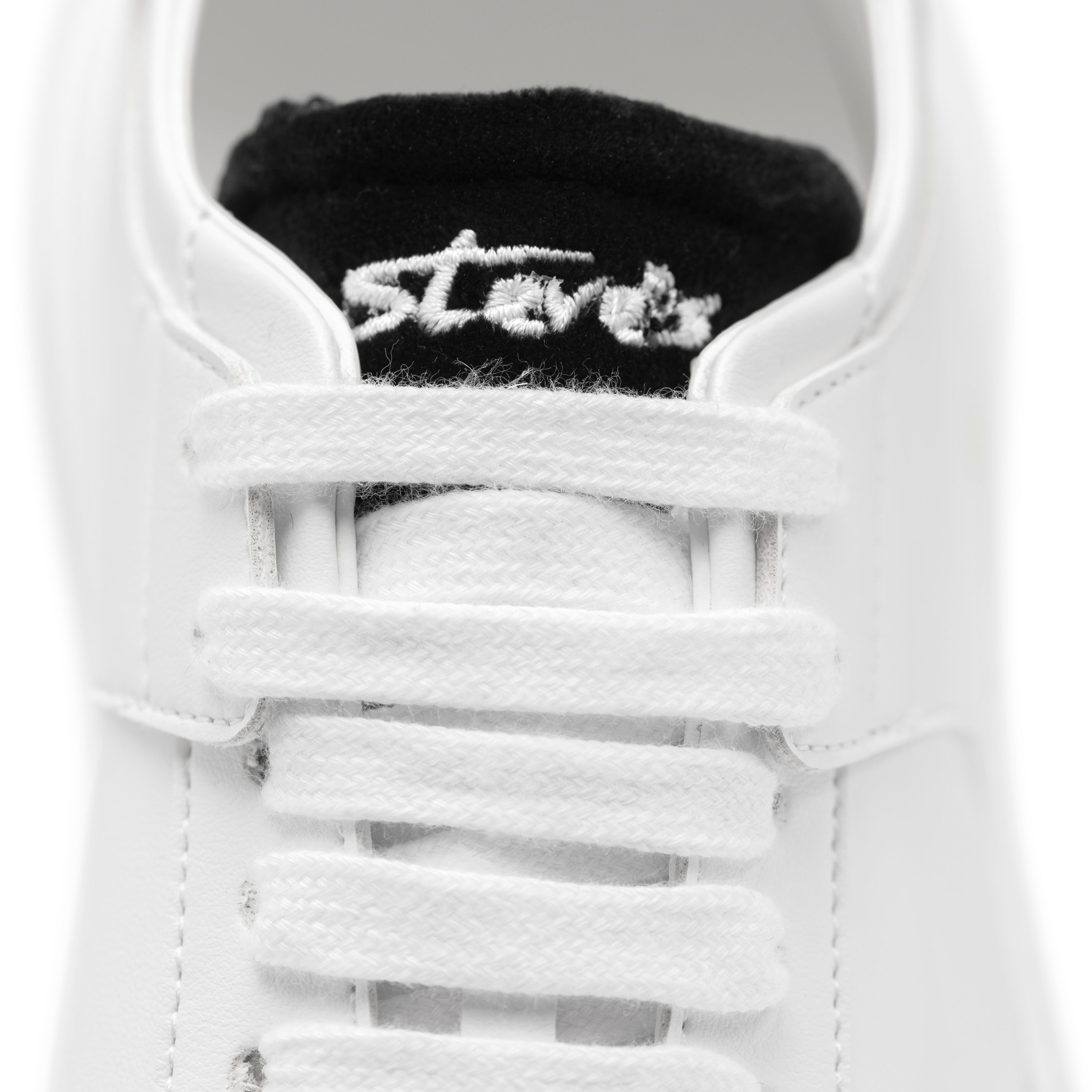 Evolution Black Ink - Limited - Steve's