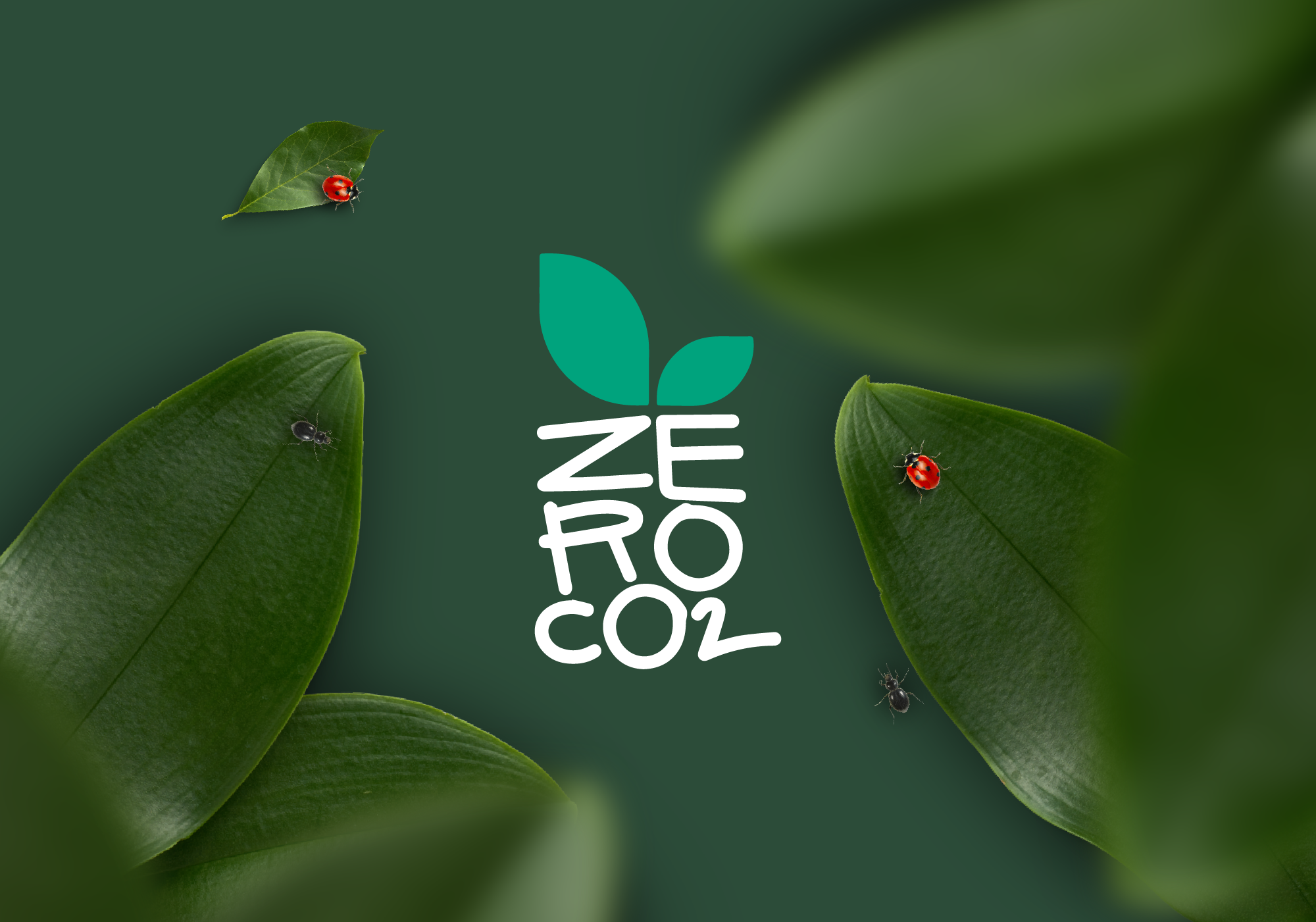 zeroCO2